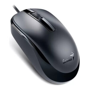 Mouse Genius DX-120 Negro